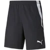 Image de Puma Short Teamliga 2