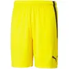 Image de Puma, Hommes, Bas de sport, Short teamLIGA-704924 (XL), Jaune