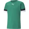 Image de Puma, Hommes, T-shirt de sport, teamRISE Jersey-704932 (3XL), Vert, 3XL