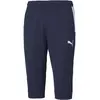 Image de Puma, Hommes, Bas de sport, teamLIGA Training 3/4 Pants-657271 (M), Bleu