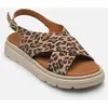Image de 28270-42 par Tamaris Marron 40 Femme