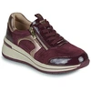 Image de Baskets basses Caprice  DANICA P29891778