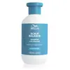 Image de Wella Professionals Invigo Scalp Balance Calm Shampoing 1000 ml