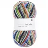 Image de Pelote de laine à chaussettes à tricoter Superba Fair Isle 4 fils - 100GR - Rico Design(...) - 05 Bleu/vert
