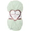 Image de Découvrez le Confort et la Douceur de la Pelote Velours Creative Chenillove 100GR de Rico Design(...) - 09 Vert Mint