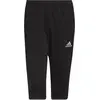 Image de Adidas, Hommes, Bas de sport, Entrada 22 Pantalon de survêtement 3/4 Hommes (S), Noir