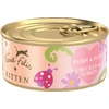 Image de Terra Felis Kitten 18 x 70 g pour chaton - poulet, dinde