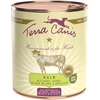 Image de 6x800g Terra Canis veau, millet, concombre - Pâtée pour chien
