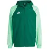 Image de Adidas, Hommes, Veste de running, Tiro 23 Competition Veste tout temps Homme (XL), Vert, XL