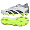 Image de Adidas, Hommes, Chaussures de football, Chaussure de football Predator Accuracy.3 FG (42), Blanc, Gris