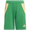 Image de Adidas Short Tiro24