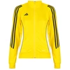 Image de Veste adidas  Tiro 24 Training Track Top P31859631