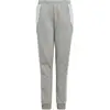 Image de Adidas, Garçons, Bas de sport, TIRO24 SWPNT Y (116), Gris