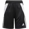 Image de Adidas Short Tiro24 Training
