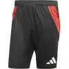 Image de Adidas, Hommes, Bas de sport, TIRO24 C TR SHO (S), Noir, Rouge