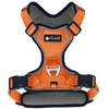 Image de Harnais Petlando Outdoor, orange taille S : 46-56cm tour de poitrine chien