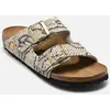 Image de Arizona Print Suede - Narrow par Birkenstock Gris 37
