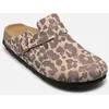 Image de Boston Print Suede - Narrow par Birkenstock Beige 41