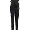 Image de Adidas Pantalon De Survêtement Tiro24 Regular
