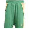 Image de Adidas, Hommes, Bas de sport, TIRO24 SHORT (XL), Vert