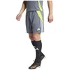 Image de Adidas Short Tiro24 Training