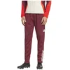 Image de Adidas Pantalon De Survêtement Fc Bayern Munich 24/25 Winterized