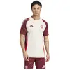 Image de Adidas T-shirt à Manches Courtes Entraînement Fc Bayern Munich 24/25 Eu