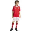 Image de Adidas Shorts Junior Domicile Benfica 24/25