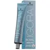 Image de Schwarzkopf Professional, Coloration pour cheveux, Igora Royal Highlifts 10-21 Ultrablond Beige 60ml (Blond)