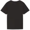 Image de Puma, Garçons, T-shirt de sport, teamRISE Logo Jersey Cotton Jr (140), Noir, 140