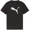 Image de Puma, Garçons, T-shirt de sport, teamRISE Logo Jersey Cotton Jr (152), Noir, 152