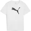 Image de Puma, Garçons, T-shirt de sport, teamRISE Logo Jersey Cotton Jr (176), Noir, 176