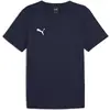 Image de Puma, Hommes, T-shirt de sport, Teamrise (S), Bleu, S