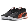 Image de Puma Chaussures De Futsal Ibero Iv