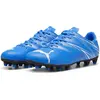 Image de Puma, Hommes, Chaussures de football, Attacanto Fg/Ag (44.5), Bleu