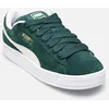 Image de Suede XL M par Puma Vert 45 Homme