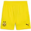 Image de Puma, Hommes, Bas de sport, BVB Short Replica (3XL), Jaune