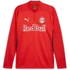 Image de Puma, Hommes, T-shirt de sport, Top RBS Training 1/4 Zip (M), Rouge, M