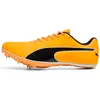 Image de Puma, Unisexe, Chaussures de course à pied, evoSPEED Sprint 14.5 (39), Orange