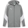 Image de Puma, Hommes, Pull-over, Veste à capuche teamEVOSTRIPE, Gris, (XL)