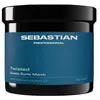 Image de Sebastian Professional Twisted Elastic Curls Mask Masque cheveux 1000 ml