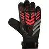 Image de Adidas Gants De Gardien De But Predator Training