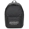 Image de Sac a dos adidas  Classic House of Tiro Graphic Backpack P30100868