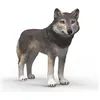 Image de Wild Life - Loup américain