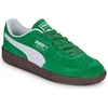 Image de Baskets basses Puma  Palermo M67538367