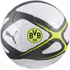 Image de Puma, Ballon de football, (5)