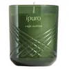 Image de ipuro Exclusive sage sublime Bougie parfumée 1000 g