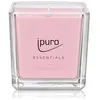 Image de ipuro Essentials flower bowl Bougie parfumée 1000 g