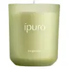 Image de ipuro Classic bergamote Bougie parfumée 1000 g