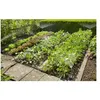 Image de Kit de démarrage pour surface plantée GARDENA Micro-Drip System 13015-20 Ø 13 mm (1/2) 25 m